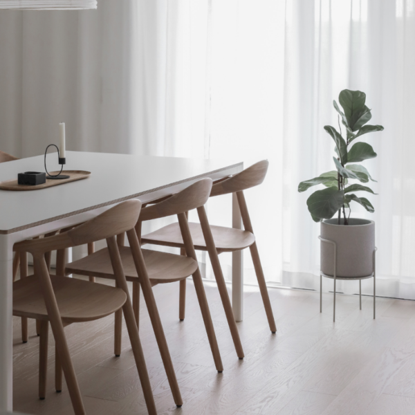 chaise neva artisan élégante avec sculpture lignes linéaires design sophistiqué confortable en noyer massif